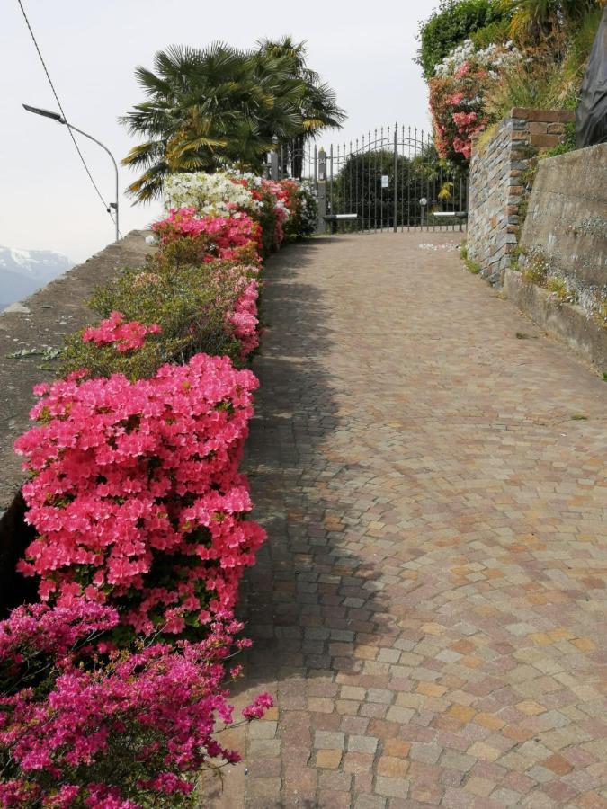 Villetta Primavera Verbania Kültér fotó