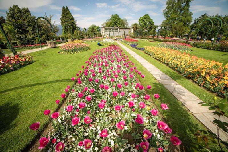 Villetta Primavera Verbania Kültér fotó