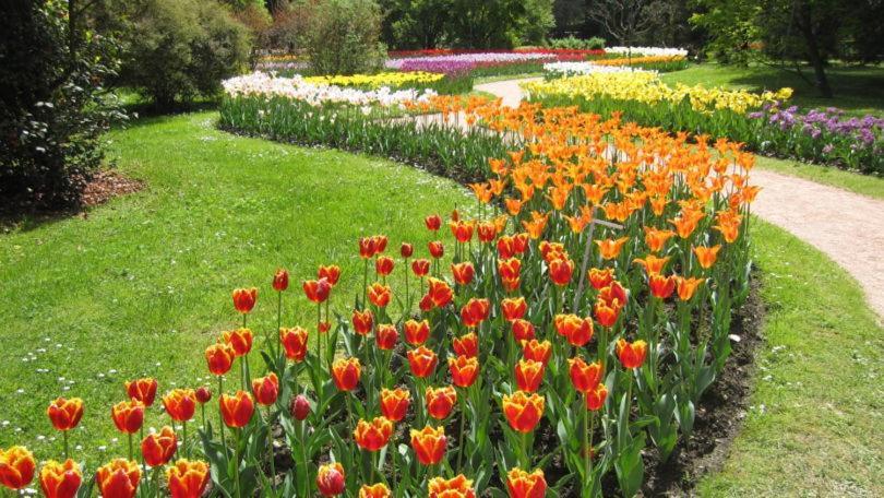 Villetta Primavera Verbania Kültér fotó